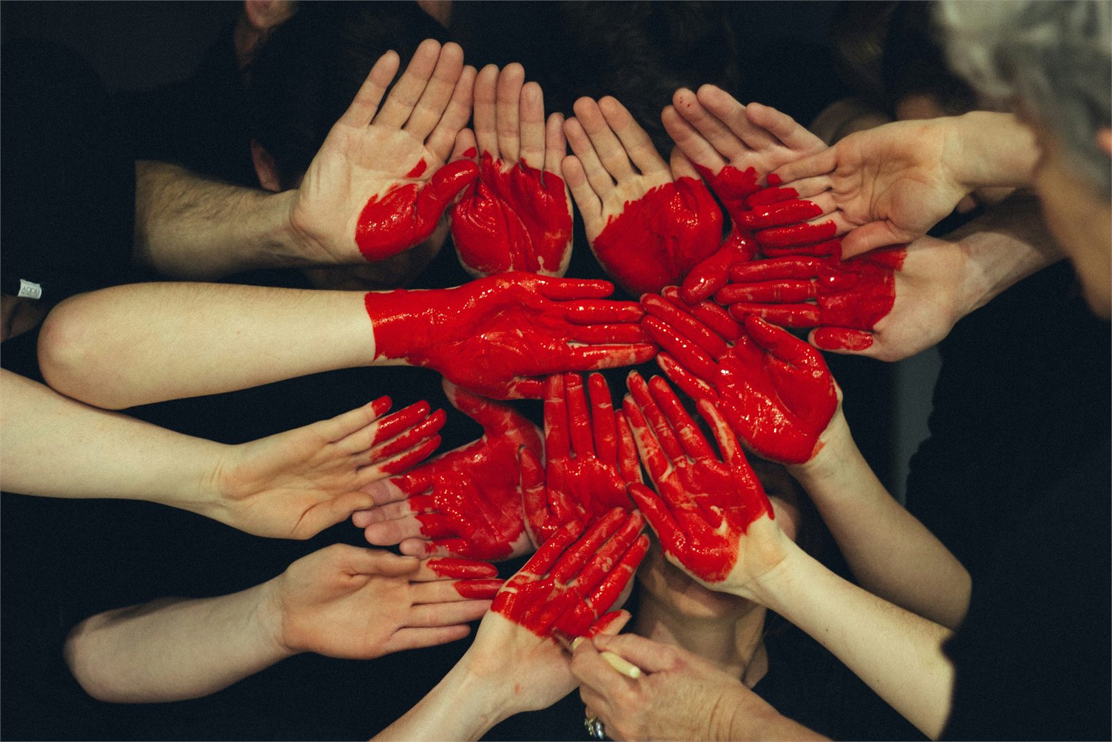 Volunteers collaborating for a not-for-profit organisation